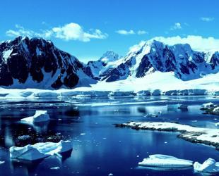 Polar oceans transformed as warming melts ice habitats
