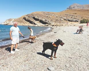 Gökçeada emerges as Türkiye’s top pet-friendly destination