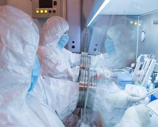 WHO says ‘low’ risk in Russia following plague reports