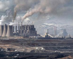 COP31 eyes modest steps as climate disasters multiply