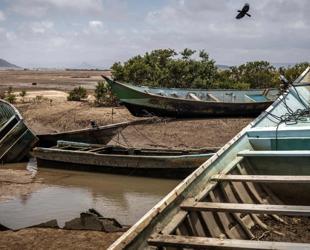 109 migrants dead, 116 missing in boat wreck off Djibouti