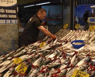 Istanbul union’s call to pause bonito fishing sparks public backlash