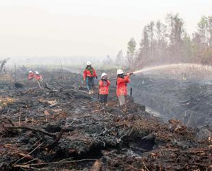 Indonesia fires ‘have burned nearly 2 mln hectares’