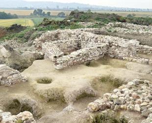 Dietary habits of Lydians revealed in charred seeds