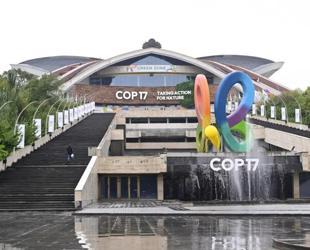 UN biodiversity summit opens