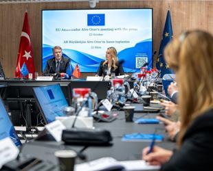 EU envoy encouraged by Ankara’s visa-free travel efforts