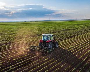 Crop output seen rising in cereals, fruits this year