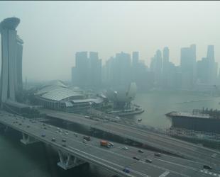 Indonesia cuts gas exports to Singapore