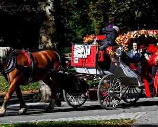 New York votes to ban Central Park horse carriages after decades of debate