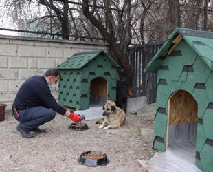 Türkiye converts food waste into animal feed in 74 provinces