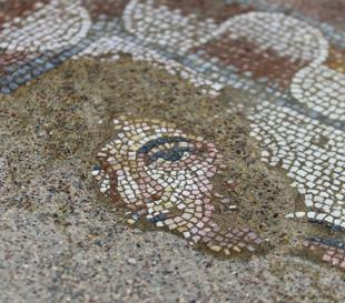 Hadrianopolis mosaic floors unearthed