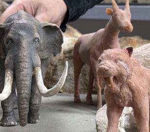 Ancient fossils recreated with 3D