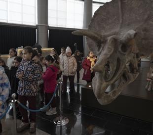 Biodiversity museum boosts science, tourism