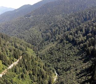 Int’l project to protect Black Sea forests