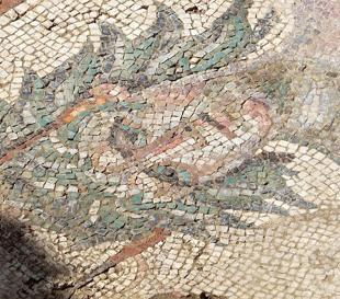 Roman-era mosaic unearthed in Tokat