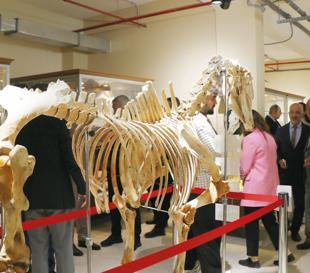 Zoology Museum reopens to visitors