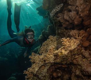 Diver raises awareness for coral reefs
