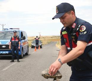 Gendarmerie protects Tortoise Valley wildlife