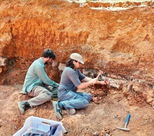 Fossils shed light on prehistoric life