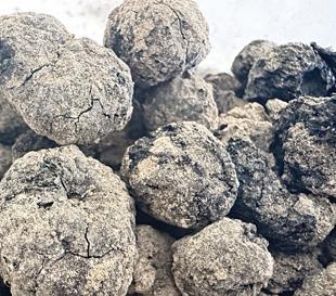 8,000-year-old fig remains unearthed