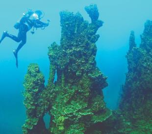 Int’l team to study giant Van Lake microbialites