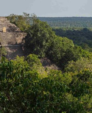 Lost Mayan city discovered in jungle