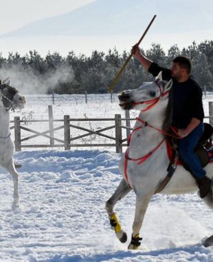 Equestrian Javelin draws interest