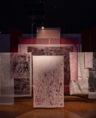 Exhibition explores landscape and memory