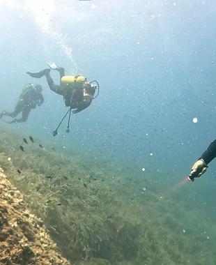 Landmark replicas set to become reefs