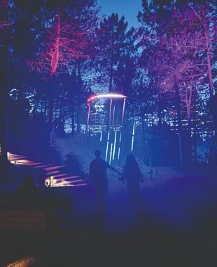 Immersive night walk Astra Lumina returns