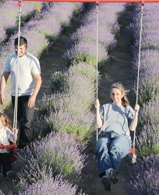 Tekirdağ’s lavender fields draw day-trippers
