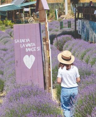 Sakarya hosts first Culture Route Fest