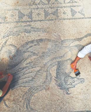 2,000-year-old mosaic hall unearthed at Tralleis