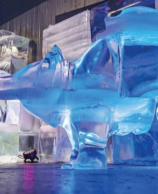 Ice museum offers cool escape from summer