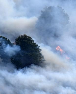 Wildfires, heat waves ‘endanger air quality’