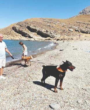 Gökçeada: Top pet-friendly destination