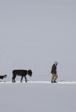 Stockbreeders life in Türkiyes Van