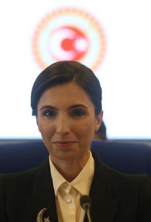 Central Bank has no exchange rate target: Erkan