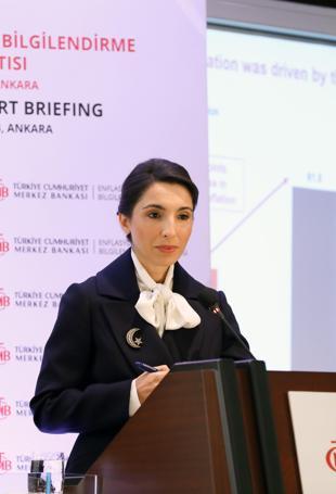 Central Bank to hold investor meetings