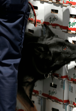 EU ports urged to team up to fight very creative drug smugglers