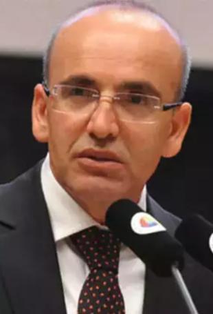 Volatility in FX market temporary, says Şimşek