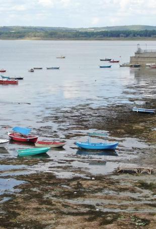 Some 225 bln liras spent on environmental protection last year