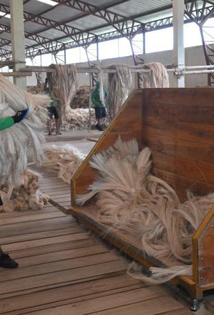 Japan firm ‘doesnt have money for slavery compensation’