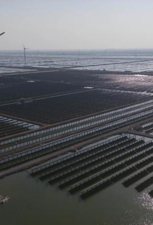 China installs record amount of renewable energy in 2024: Data