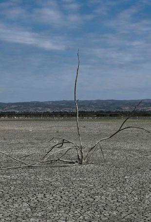 Top climate scientist declares 2C climate goal 'dead' - World News