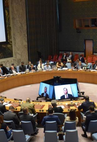 Four UN Security Council permanent members oppose Israels Gaza occupation plan