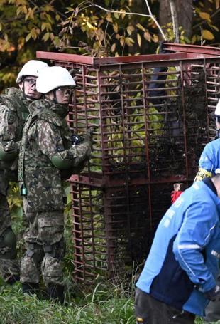 Japan deploys army to counter a surge in bear attacks