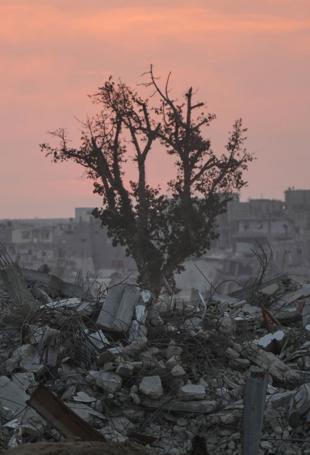 Turkish arrest warrants for Israeli officials ‘victory for justice’: Palestine