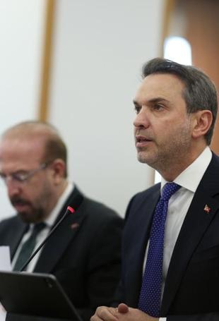 First overseas gold production project to start in Niger: Minister