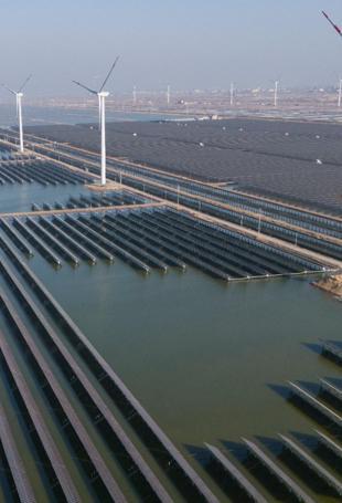China emissions flat in third quarter as solar surges: Study